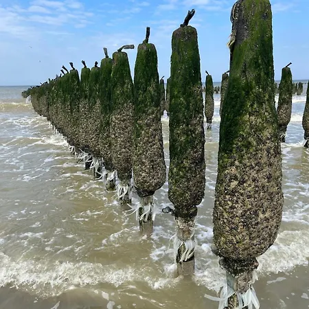 Le Bellevue Apartamento Merlimont